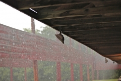 SeriousRain