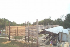 picture3